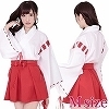 夢のなかの巫女ちゃま（ゆめのなかのみこちゃま）